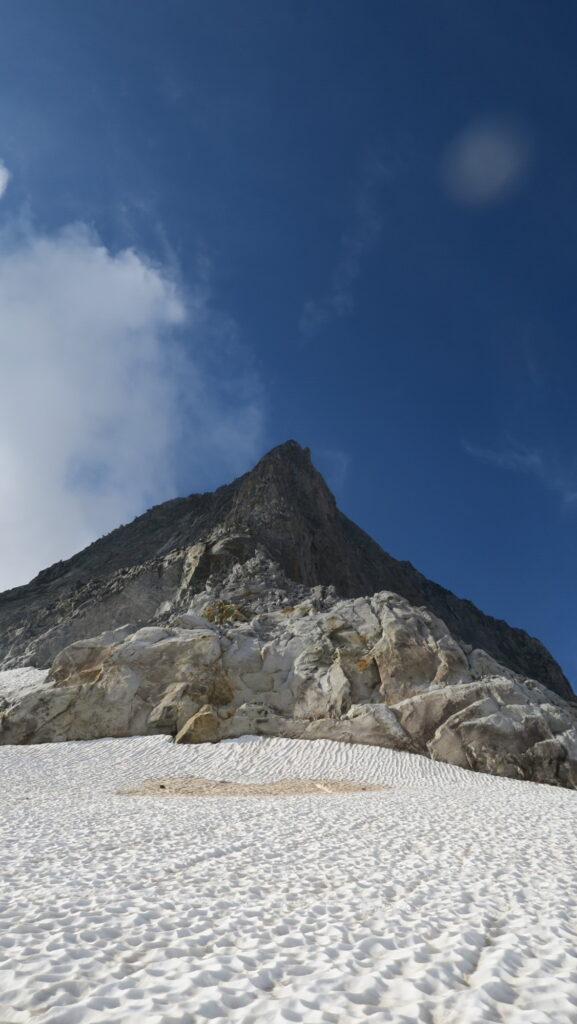 resized IMG 2577