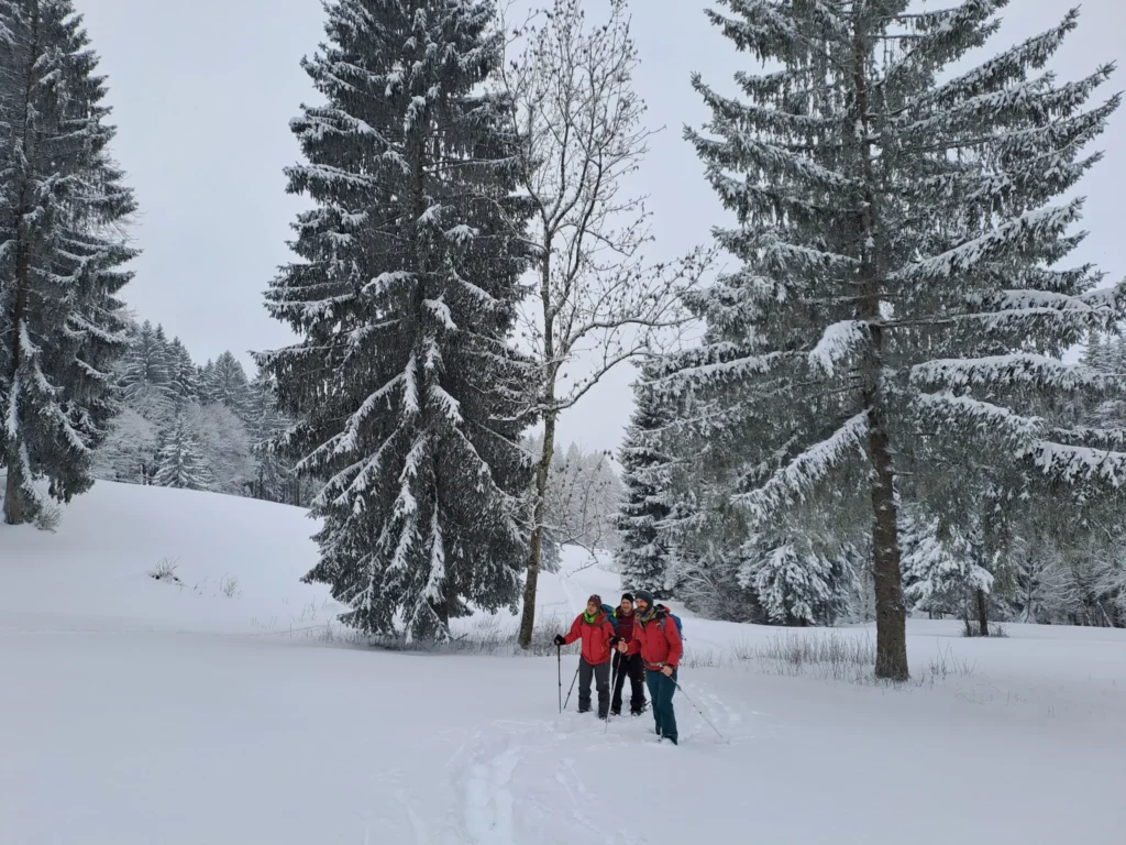 663fa5f9 2797 44a9 8a72 f5bf280649d7